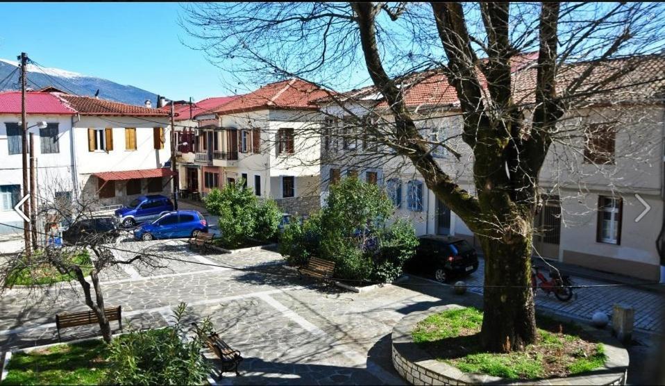 Platanos In The Castle Hotel Ioannina Exterior photo